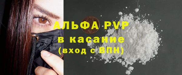индика Баксан