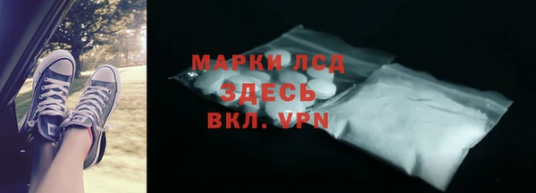 индика Баксан