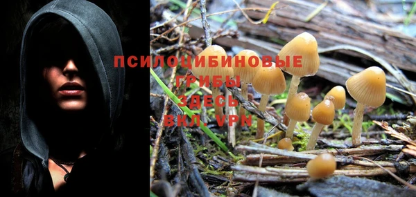 индика Баксан