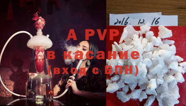 индика Баксан